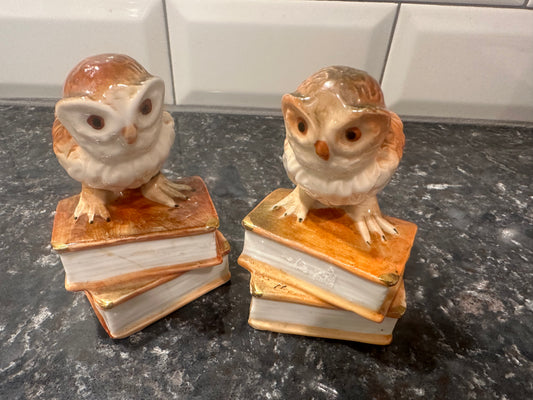 Reading is a hoot figurines